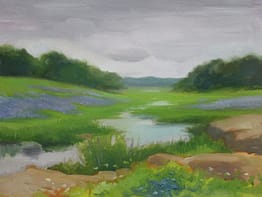 Hill Country Fields, 14X18