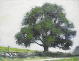 Oak at Glynwood, 11x14
