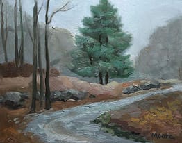 Evergreen at Cold Spring, 11x14