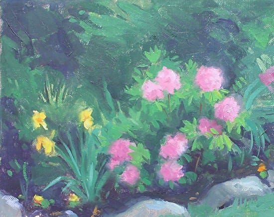 Rhododendron, 8x10
